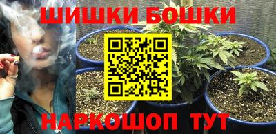 apvp Можга