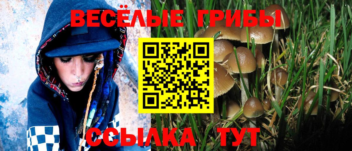 Галлюциногенные грибы мухоморы Южноуральск
